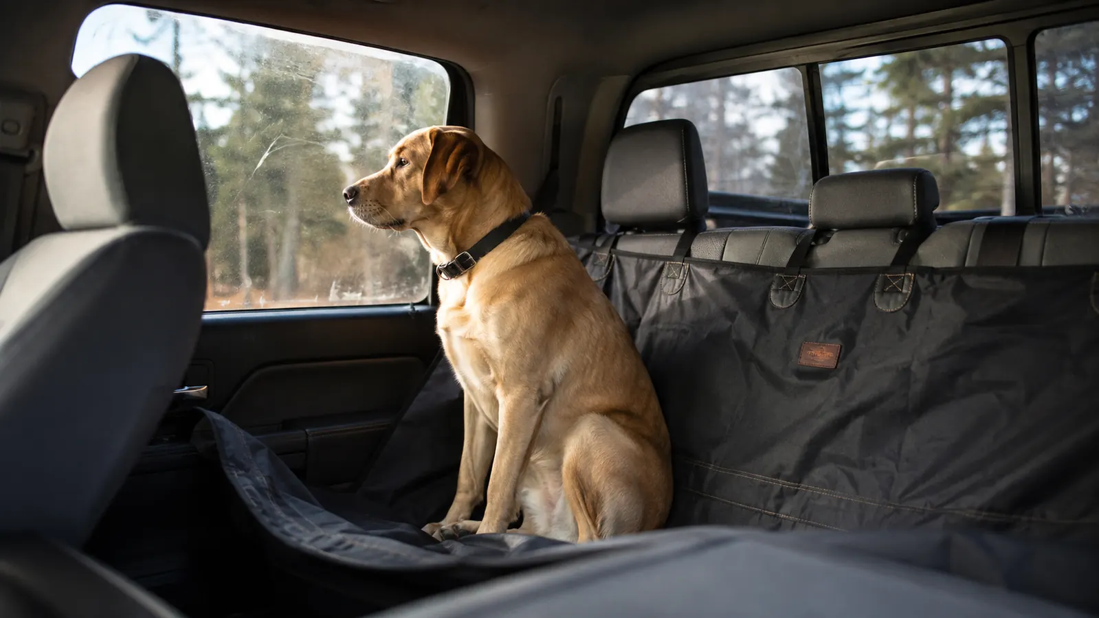 10 Reasons a Dog Car Seat Cover Protects Your Interior on Every Trip