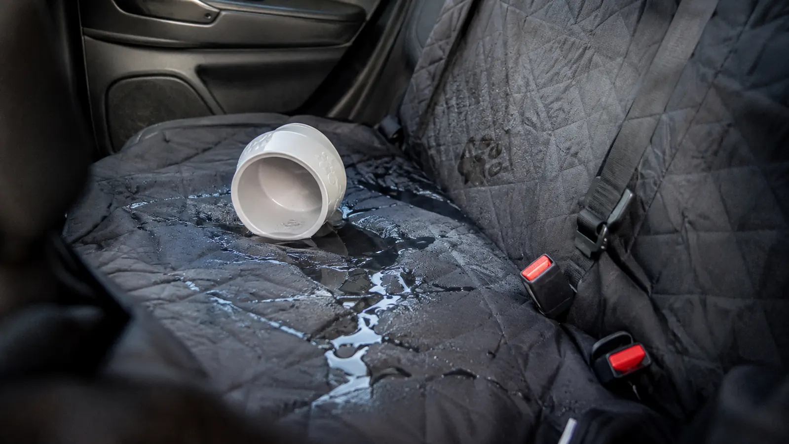 A dog and its owner stopped at a roadside rest area, the travel water bottle clipped into a seatback pocket