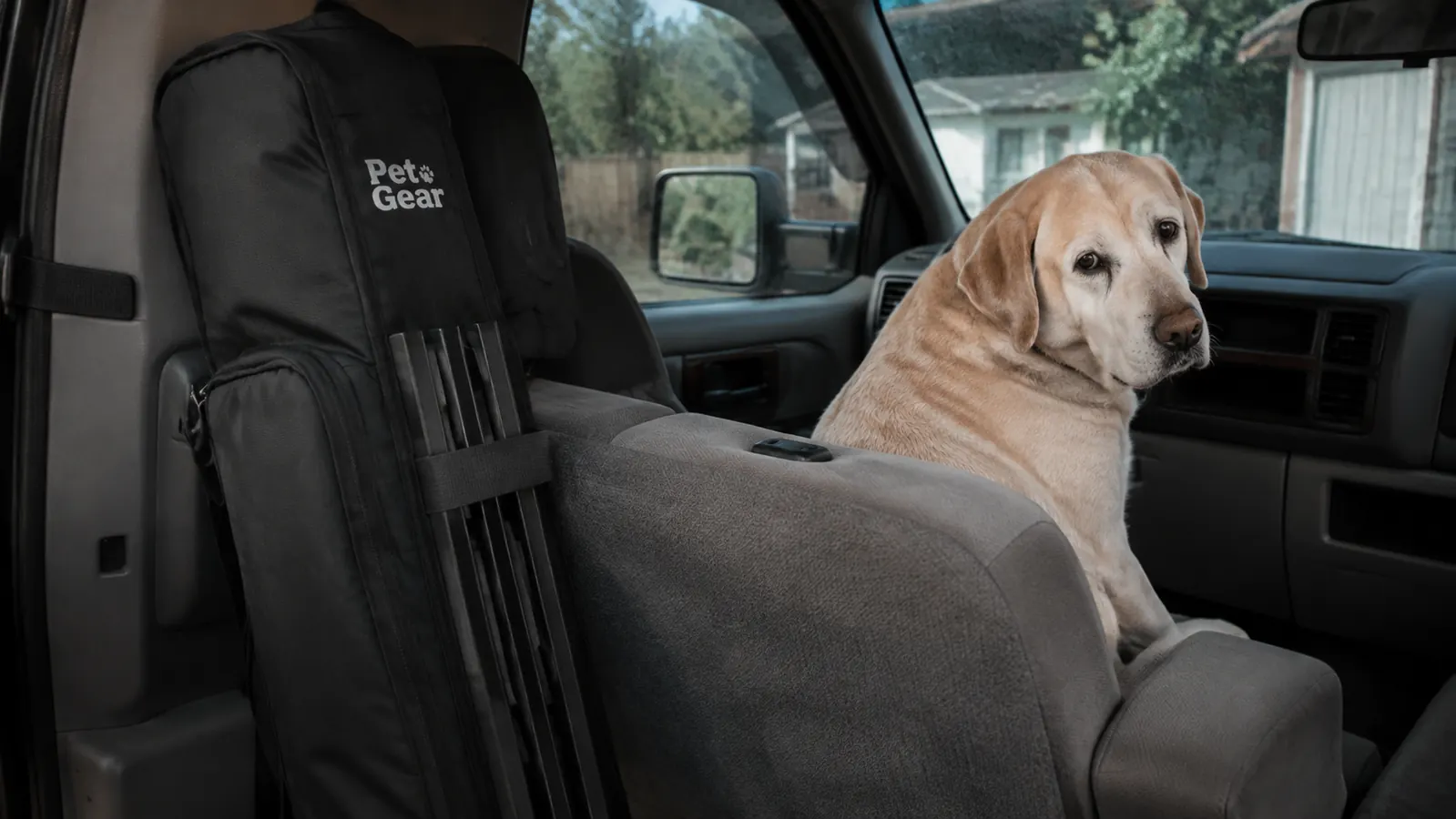 A large dog settled on the back seat of a pickup truck, looking out the window, with a folded ramp leaning behind the front seat.