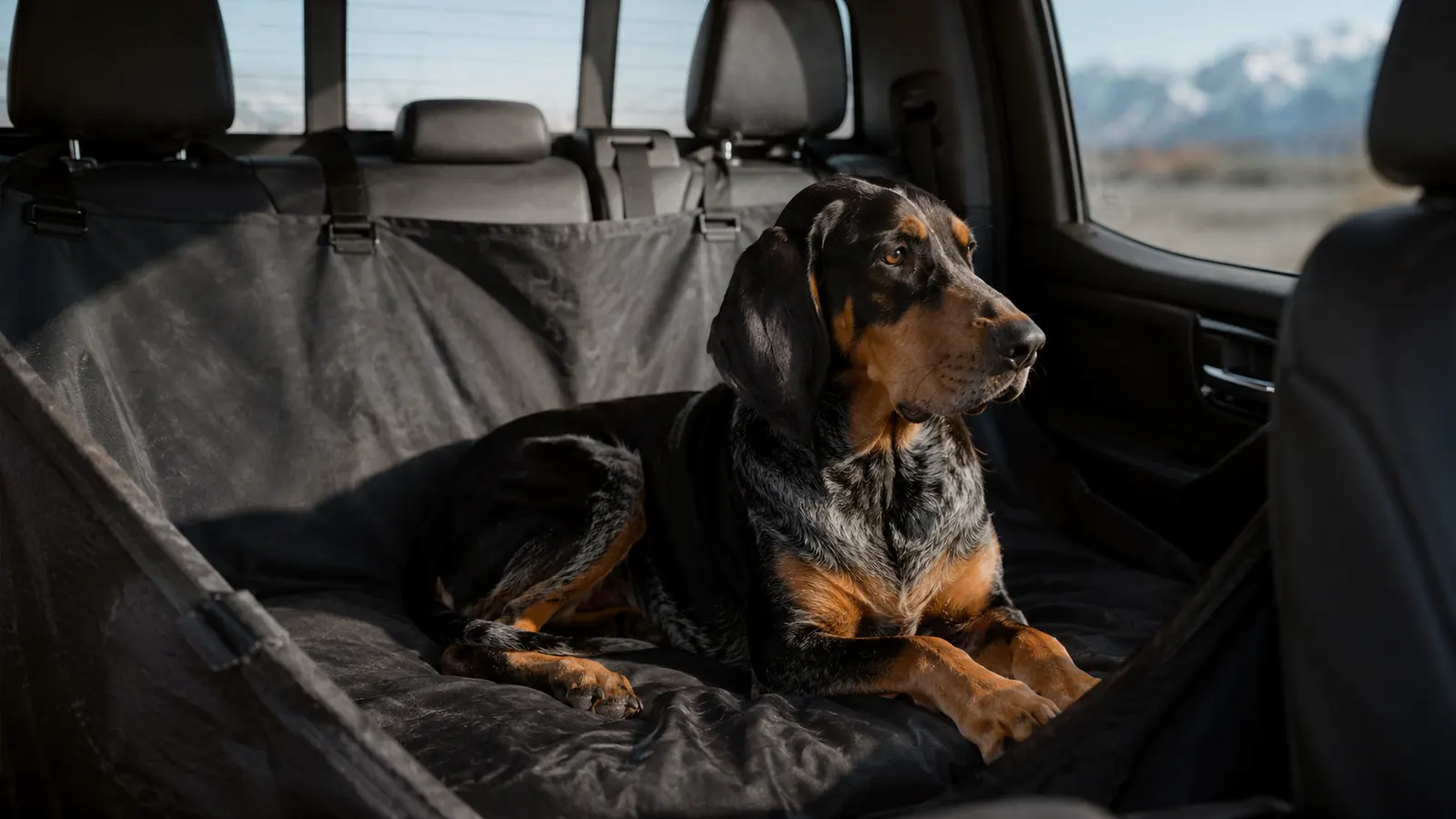 URPOWER Dog Car Seat Cover Review: Six Months of Muddy Paws and Long Drives