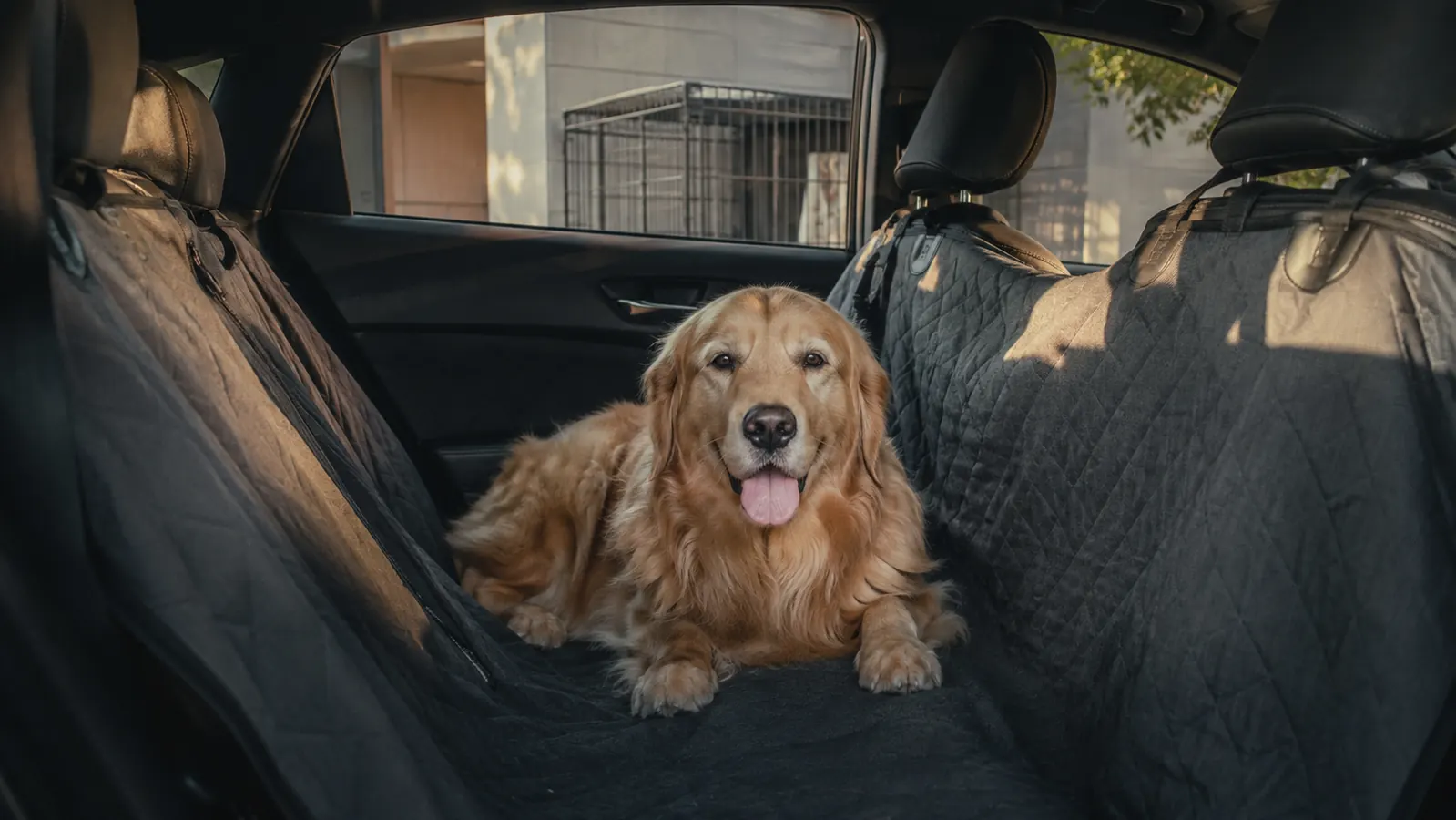 A large dog with wet fur standing in the low trough of a hammock style car seat cover inside a truck